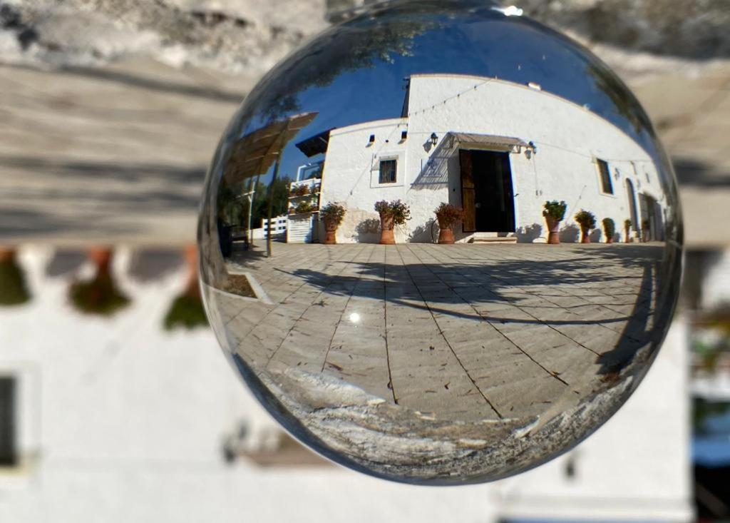 Apartamento Profumo Di Terra Monopoli Exterior foto